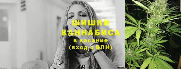 ECSTASY Вязьма