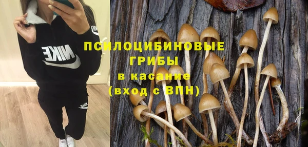 каннабис Вяземский