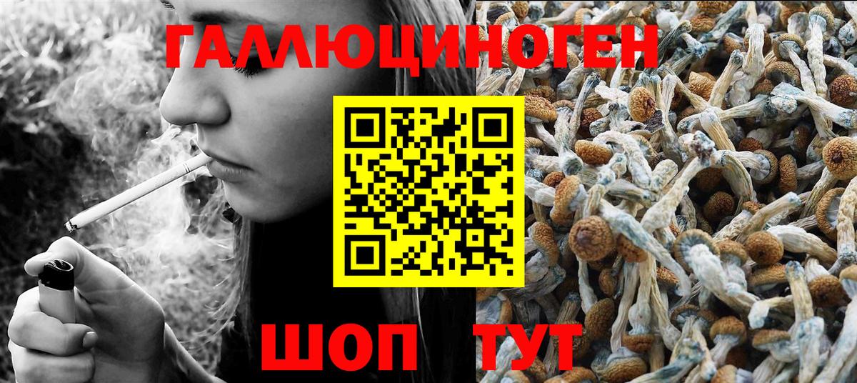 Галлюциногенные грибы Cubensis Губкинский