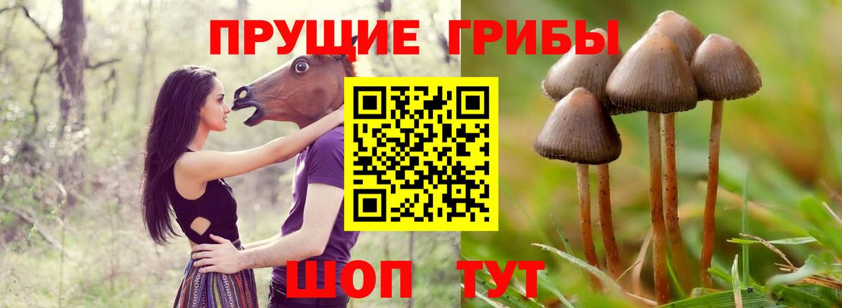 Псилоцибиновые грибы GOLDEN TEACHER  Вход с VPN  Губкинский  Галлюциногенные грибы Cubensis 